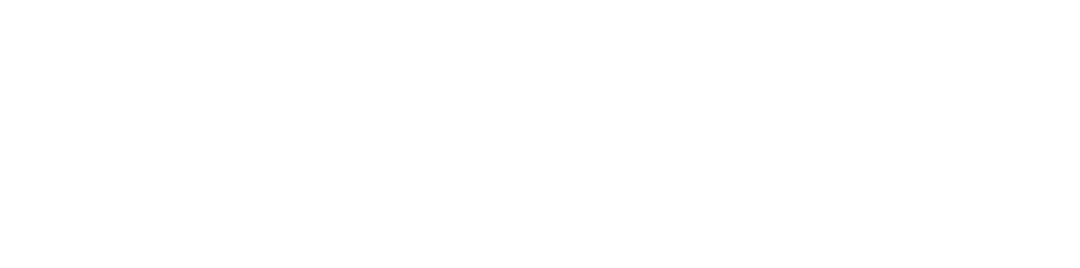Fideplu4 logo